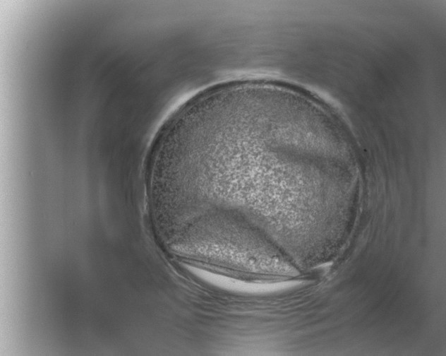 X0000063501271200602032008