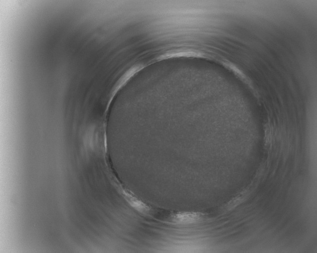 X0000063501274200602032008