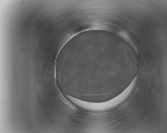 X0000063501276200602032008