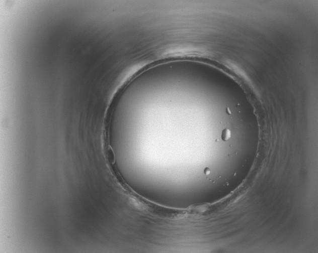 X0000063501277200602032008