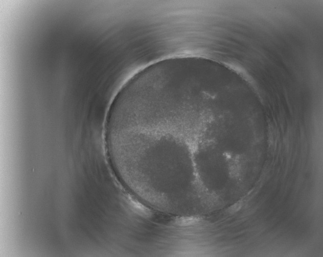 X0000063501278200602032008