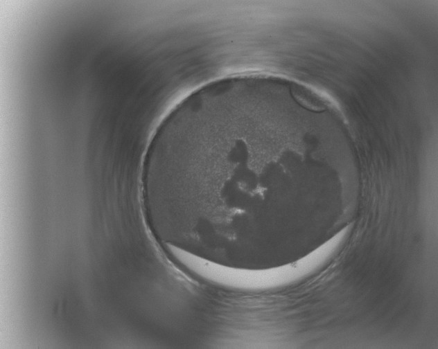 X0000063501279200602032008