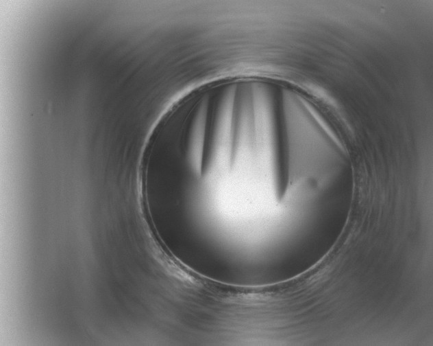 X0000063501280200602032008