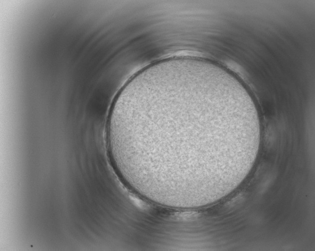 X0000063501282200602032008