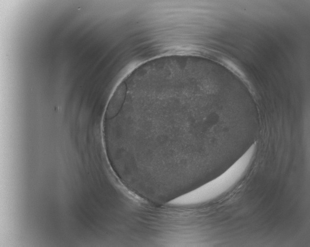 X0000063501283200602032008