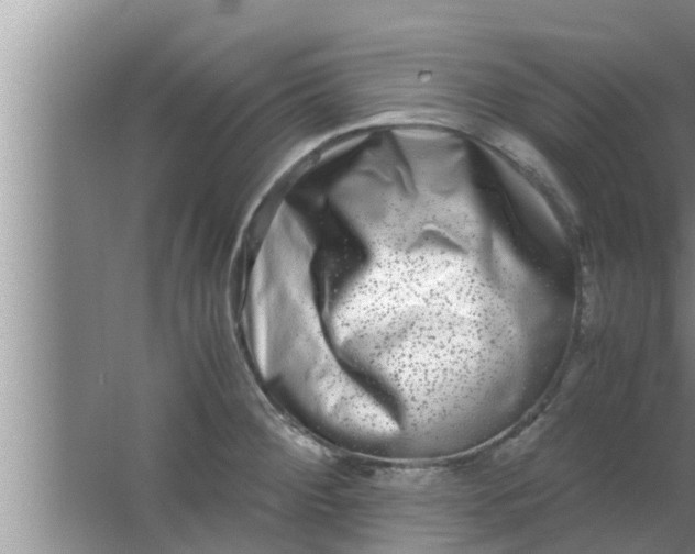 X0000063501284200602032008