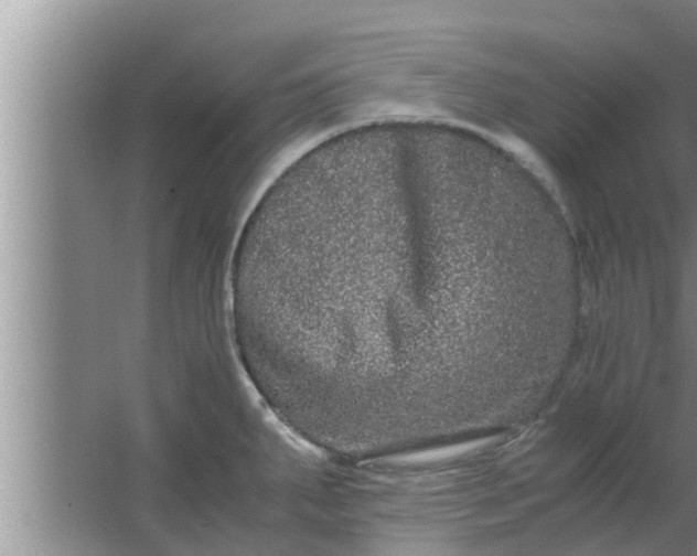 X0000063501287200602032008