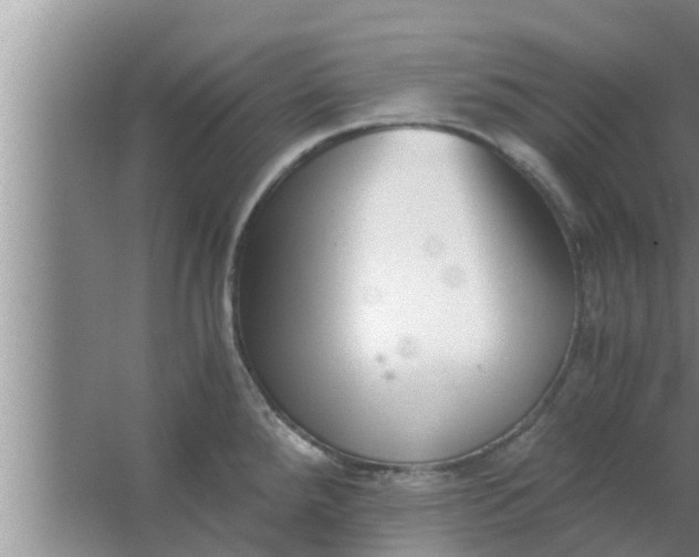 X0000063501288200602032008