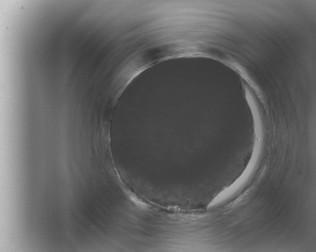 X0000063501289200602032008