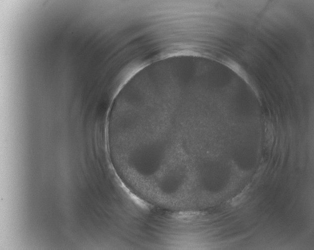 X0000063501290200602032008