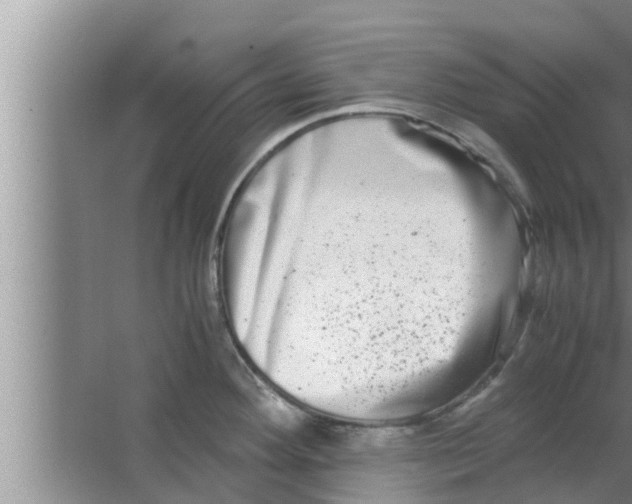 X0000063501292200602032008