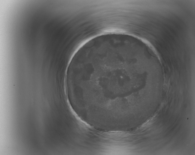 X0000063501295200602032008