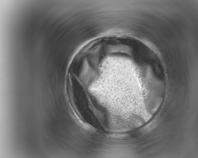 X0000063501296200602032008