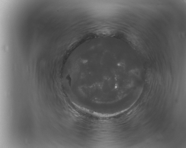 X0000063501297200602032007