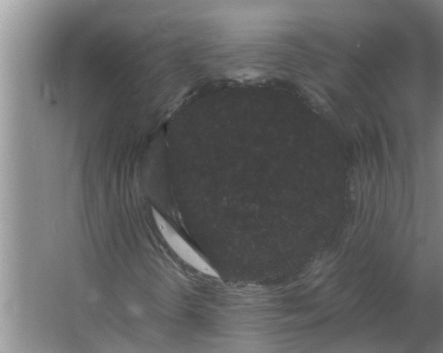 X0000063501298200602032007