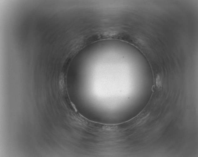 X0000063501299200602032007