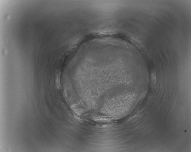 X0000063501300200602032007