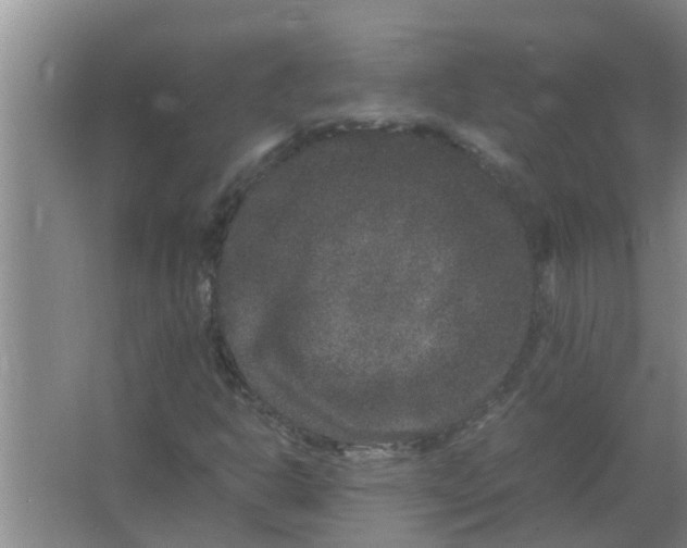 X0000063501302200602032007