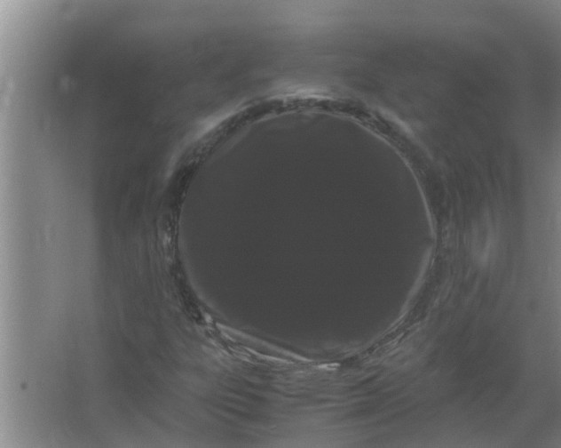 X0000063501303200602032007