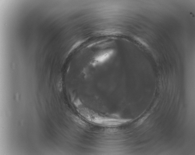 X0000063501306200602032007