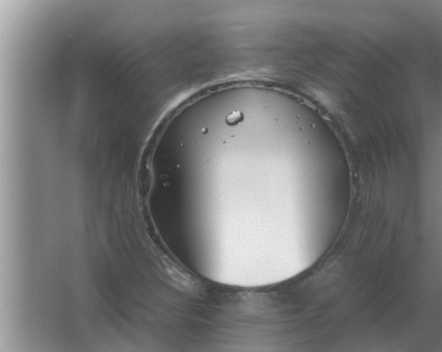 X0000063501308200602032007