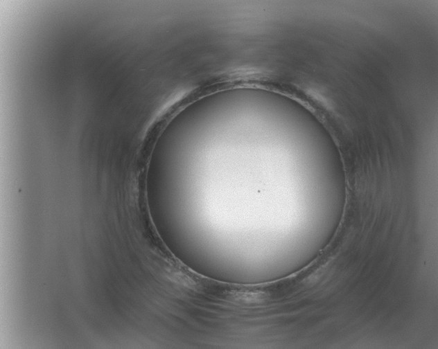 X0000063501309200602032007