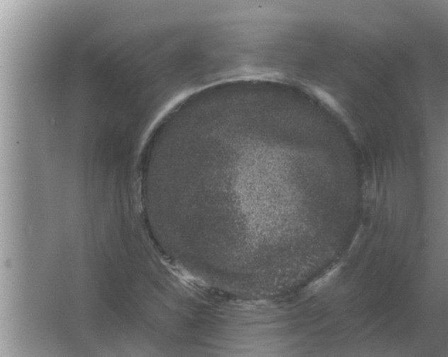 X0000063501310200602032007