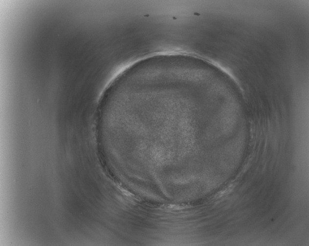 X0000063501311200602032007