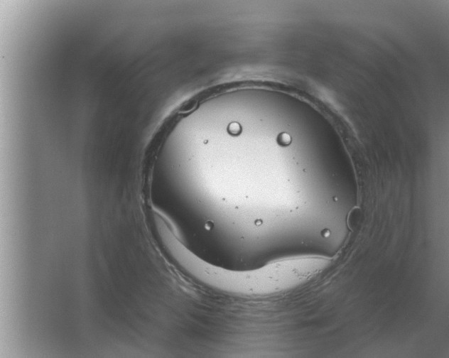 X0000063501312200602032007