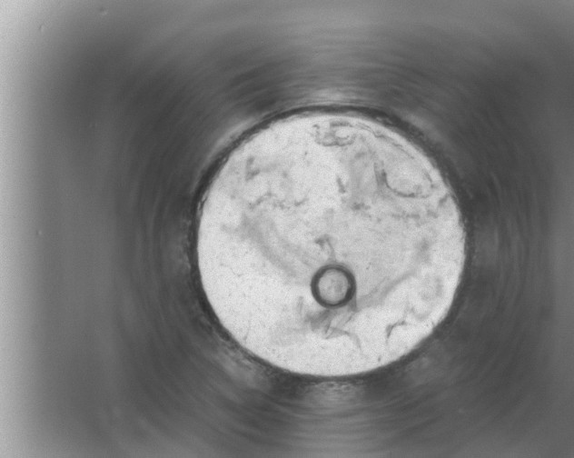 X0000063501314200602032007