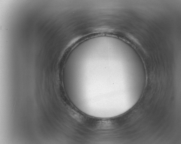 X0000063501315200602032007