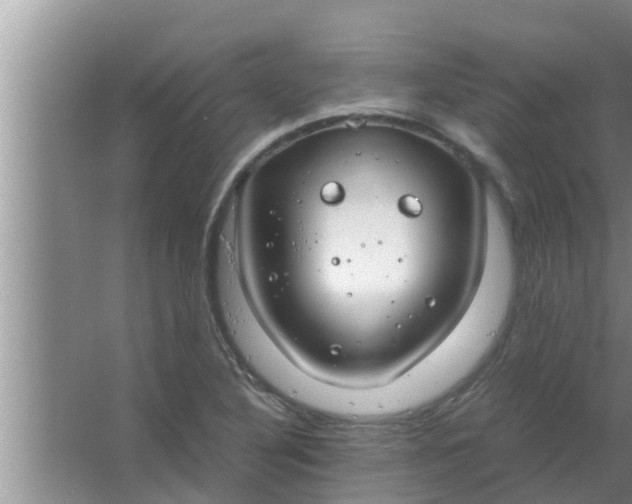 X0000063501316200602032007