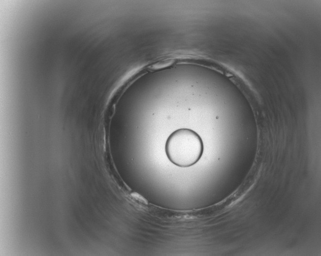 X0000063501317200602032007