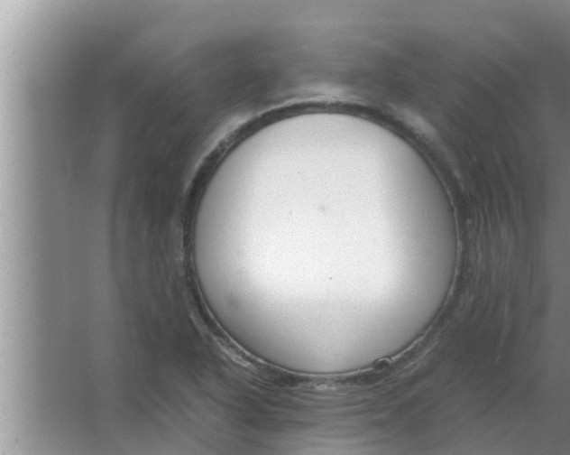 X0000063501318200602032007