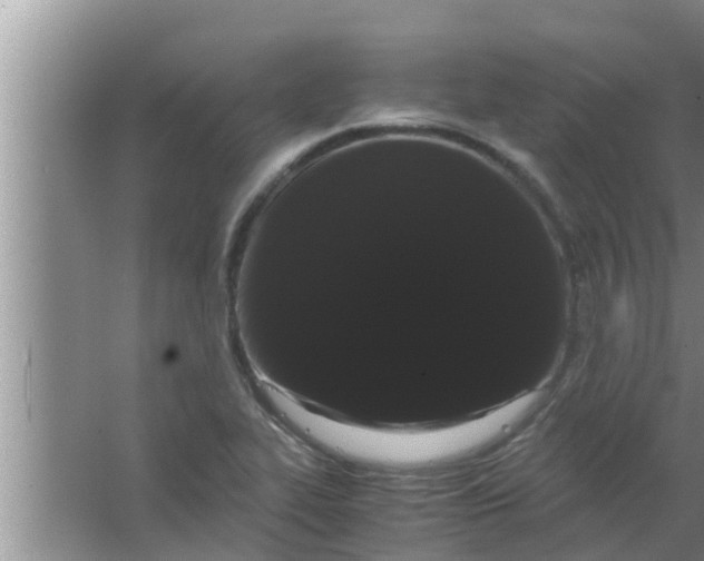 X0000063501319200602032007