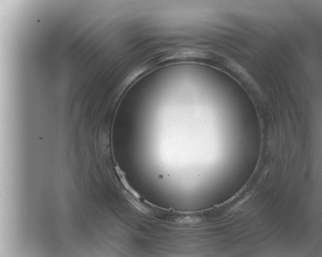 X0000063501321200602032007