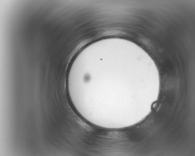 X0000063501322200602032007