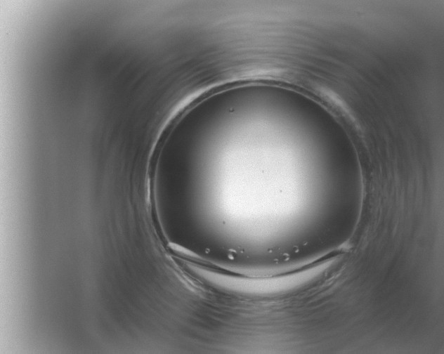 X0000063501324200602032007