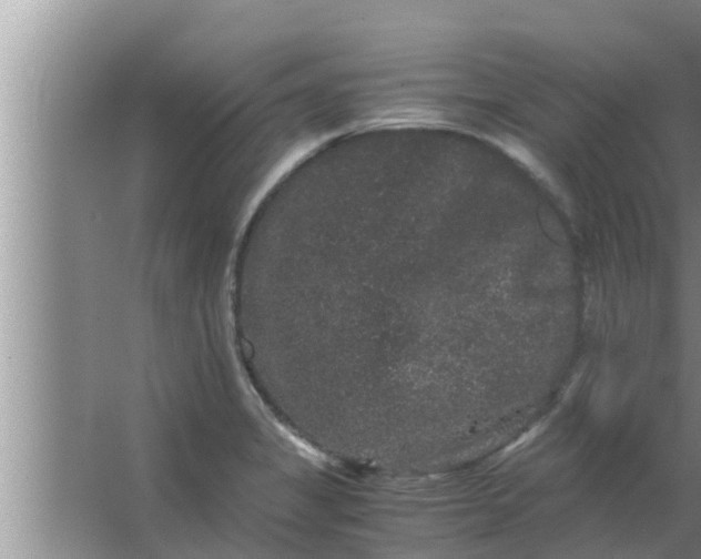 X0000063501325200602032007