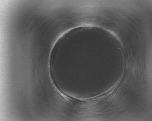 X0000063501327200602032007