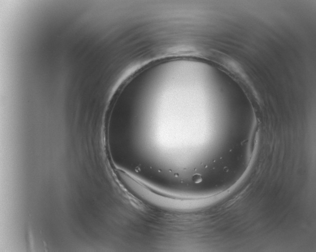 X0000063501328200602032007