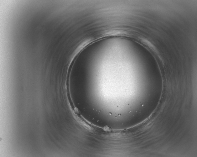 X0000063501330200602032007