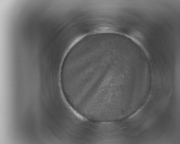 X0000063501333200602032007