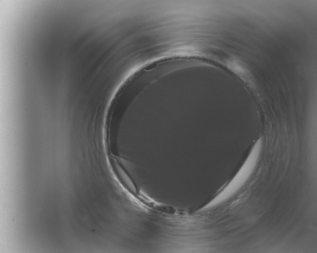 X0000063501334200602032007