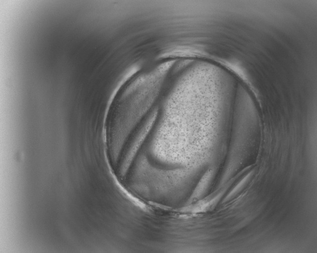 X0000063501335200602032007