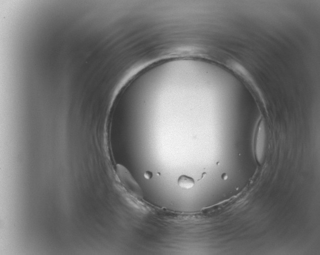 X0000063501336200602032007