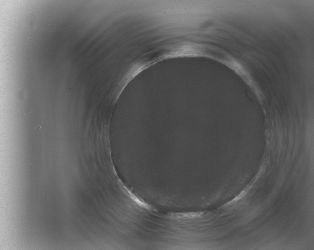 X0000063501337200602032007