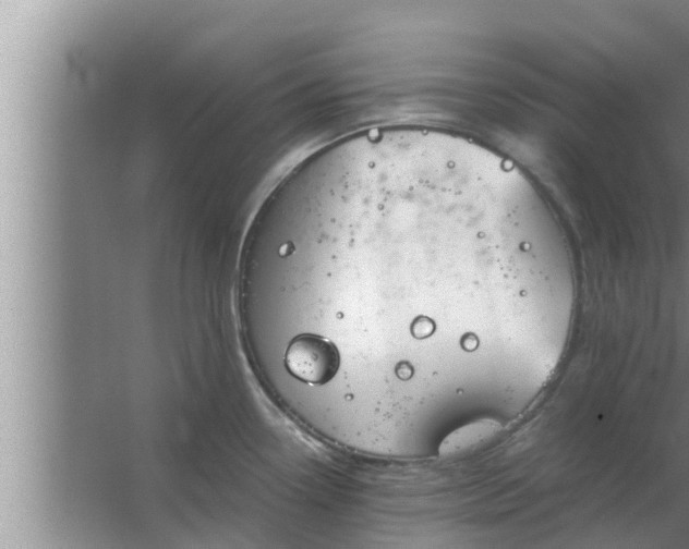 X0000063501338200602032007