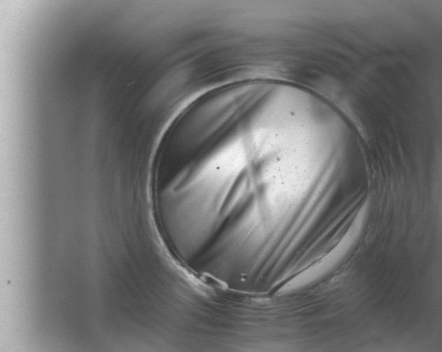 X0000063501339200602032007