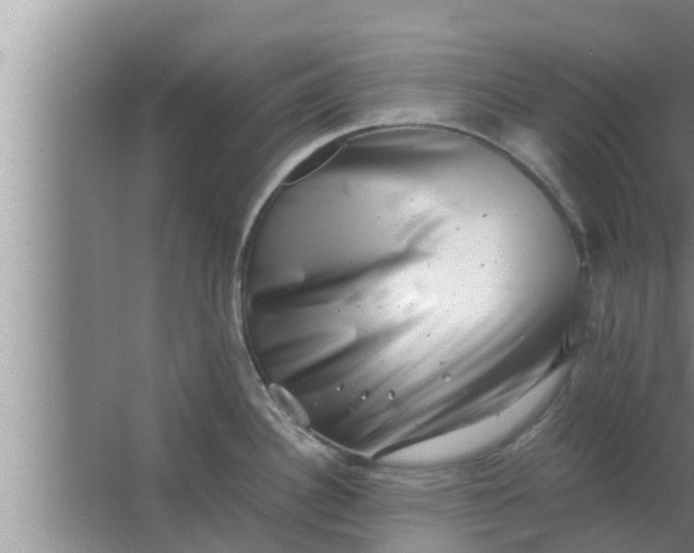 X0000063501340200602032007